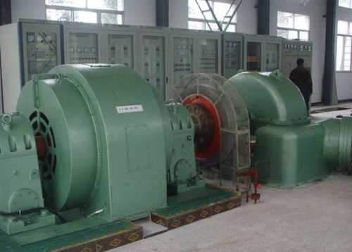 中国将100万千瓦的水轮发电机组何时投入使用